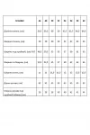 Блузка Таир-Гранд 62442 полоска