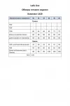 Костюм Ladis Line 1420 розовый леопард+черный