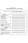 Костюм Golden Valley фиолетовый 2